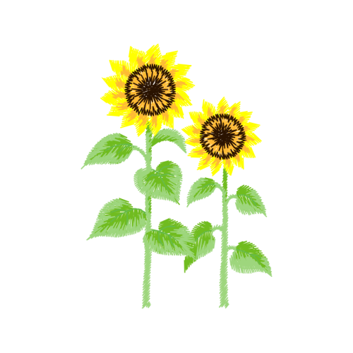 Dandelions Wedding Dandelions Wedding