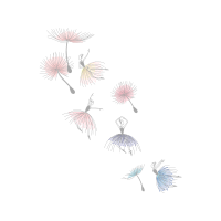 Dandelions Wedding Dandelions Wedding