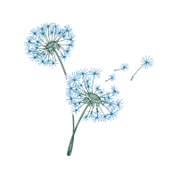 Dandelions Wedding Dandelions Wedding