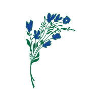 Delphinium Wedding Delphinium Wedding