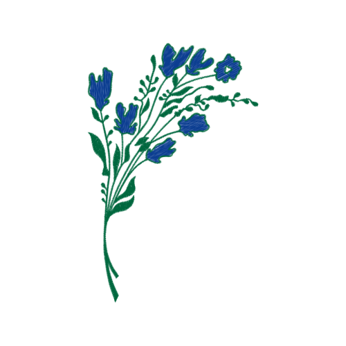 Delphinium Wedding Delphinium Wedding