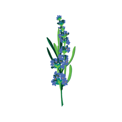 Delphinium Wedding Delphinium Wedding