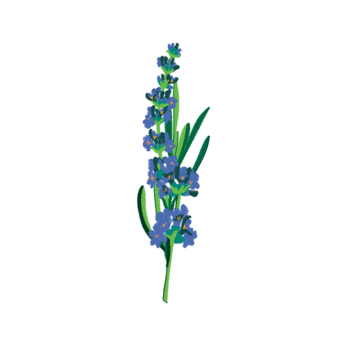 Delphinium Wedding Delphinium Wedding