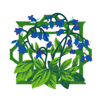 Delphinium Wedding Delphinium Wedding