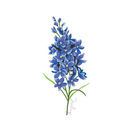 Delphinium Wedding Delphinium Wedding