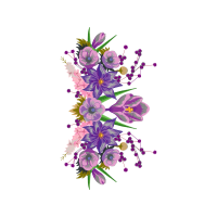 Delphinium Wedding Delphinium Wedding