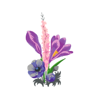 Delphinium Wedding Delphinium Wedding