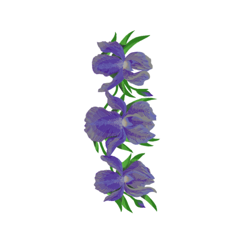 Delphinium Wedding Delphinium Wedding