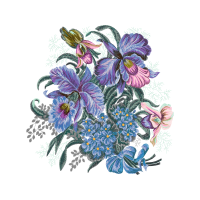 Delphinium Wedding Delphinium Wedding