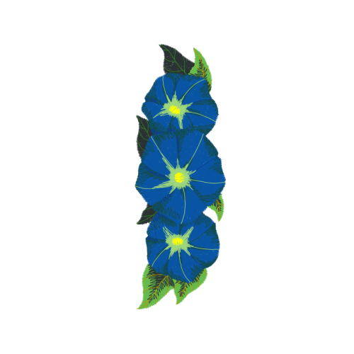 Delphinium Wedding Delphinium Wedding