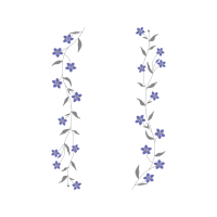 Delphinium Wedding