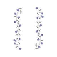 Delphinium Wedding