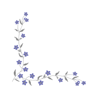 Delphinium Wedding Delphinium Wedding