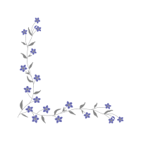 Delphinium Wedding Delphinium Wedding