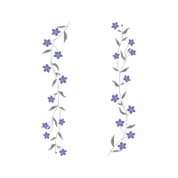 Delphinium Wedding