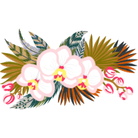 Dendrobium Wedding Dendrobium Wedding