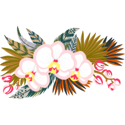 Dendrobium Wedding Dendrobium Wedding