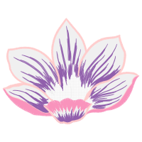 Dendrobium Wedding Dendrobium Wedding