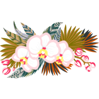 Dendrobium Wedding Dendrobium Wedding