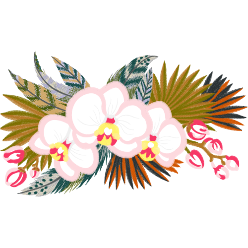 Dendrobium Wedding Dendrobium Wedding