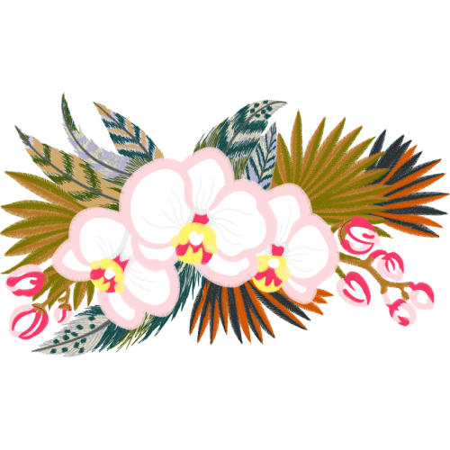 Dendrobium Wedding Dendrobium Wedding