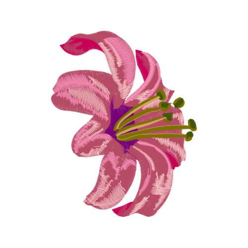 Dendrobium Wedding Dendrobium Wedding