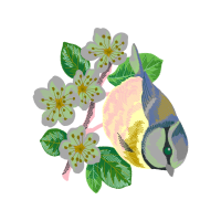 Dog Rose Wedding Dog Rose Wedding