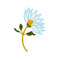 Dog Rose Wedding Dog Rose Wedding