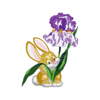 Domestic Rabbit Wedding