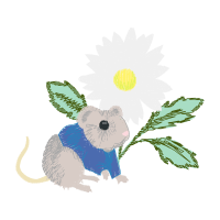 Domestic Rabbit Wedding