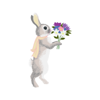 Domestic Rabbit Wedding Domestic Rabbit Wedding