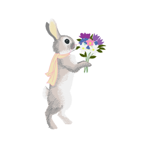 Domestic Rabbit Wedding Domestic Rabbit Wedding