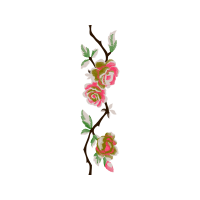 Dragonfly Wedding Dragonfly Wedding