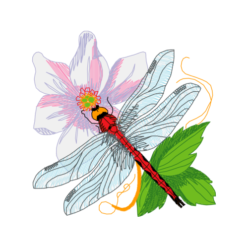 Dragonfly Wedding Dragonfly Wedding