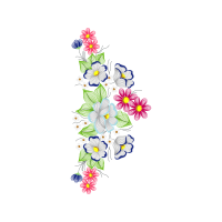 Drawing Wedding Drawing Wedding