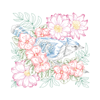 Drawing Wedding Drawing Wedding