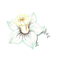 Drawing Wedding Drawing Wedding