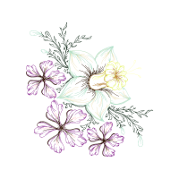 Drawing Wedding Drawing Wedding