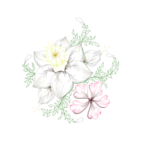 Drawing Wedding Drawing Wedding