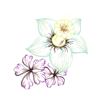 Drawing Wedding Drawing Wedding