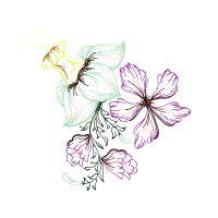 Drawing Wedding Drawing Wedding