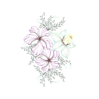 Drawing Wedding Drawing Wedding