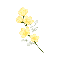 Drawing Wedding Drawing Wedding