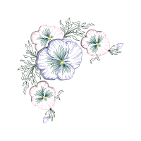 Drawing Wedding Drawing Wedding