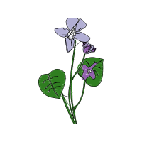 Drawing Wedding Drawing Wedding