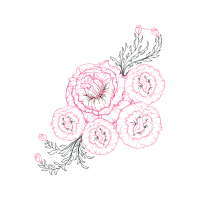 Drawing Wedding Drawing Wedding