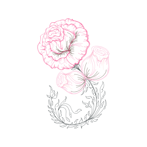 Drawing Wedding Drawing Wedding