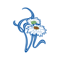 Drawing Wedding Drawing Wedding