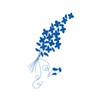 Drawing Wedding Drawing Wedding