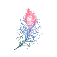 Drawing Wedding Drawing Wedding